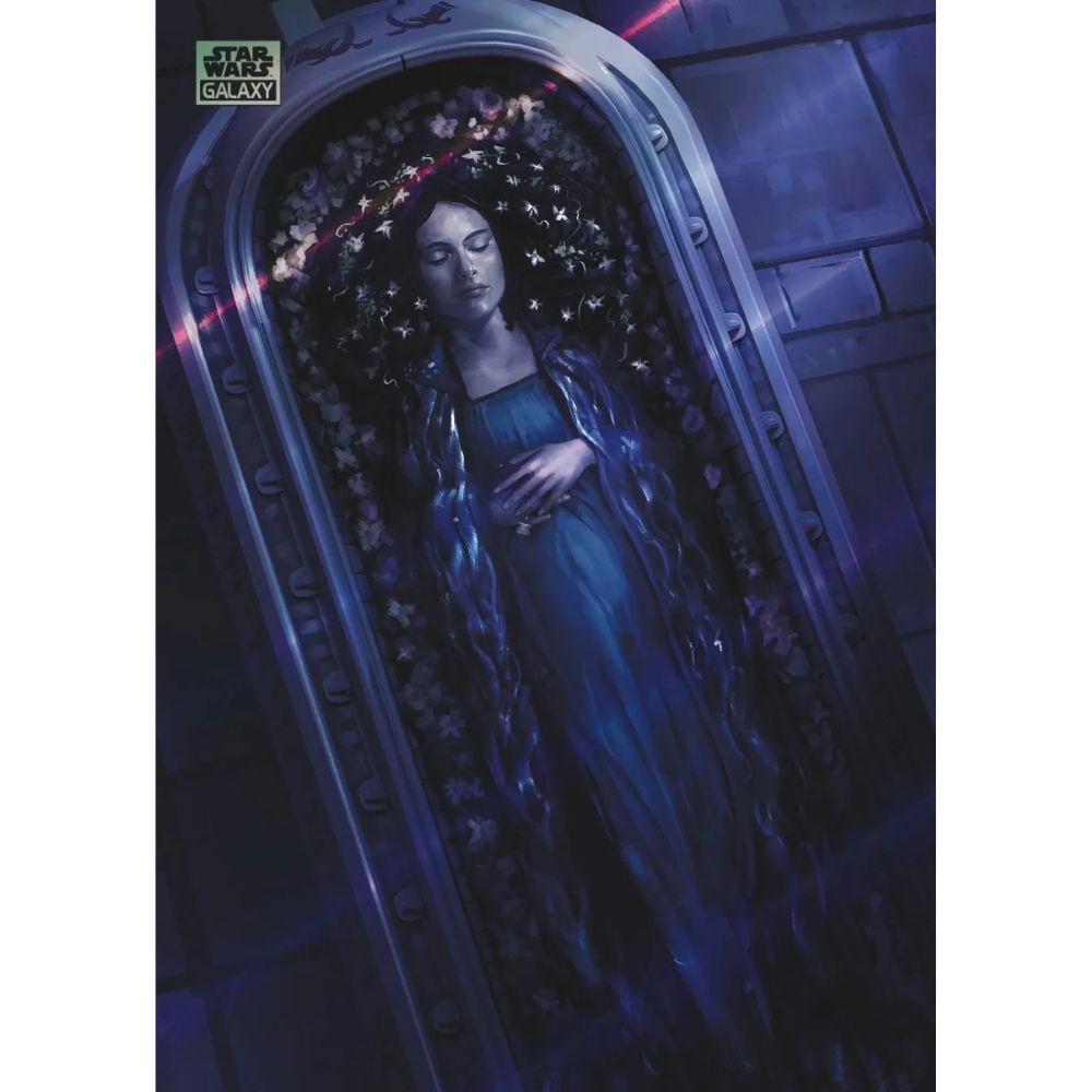 2024 Topps Star Wars Chrome Galaxy Hobby Box — view 2
